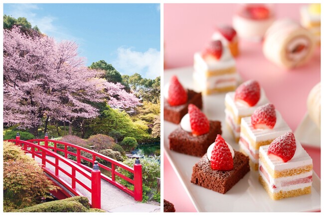桜の季節からGWまでいちご尽くし！