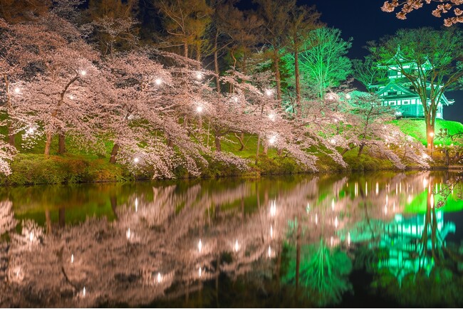 今年の雪は多かった…　ようやく雪解け、桜咲く春がやってきます　上越市「第100回高田城址公園観桜会」の開催に合わせ、休暇村妙高では会場と休暇村を結ぶ「夜桜バス」を4月1日より運行