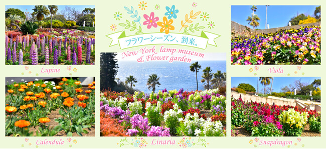 春本番! 華やかなフラワーシーズンが到来