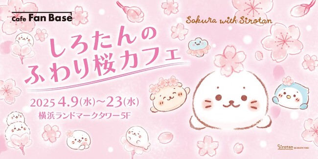 「しろたんのふわり桜カフェ」が横浜・みなとみらい「Cafe Fan Base」にて2025 年 4 月 9 日(水)～4 月 23 日(水)の期間限定で開催決定！