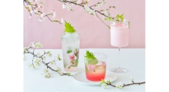 春の訪れを感じる「桜」のカクテルが4/30まで提供中!