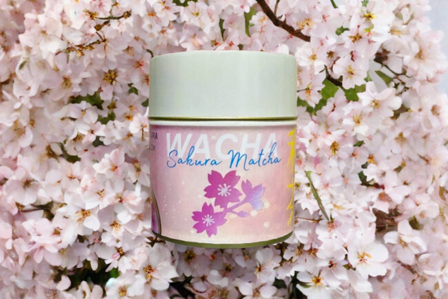 WACHAより春限定のSAKURA MATCHAが登場！桜の花びら×ホワイトチョコ×桃の贅沢ブレンドで、春を感じる特別な一杯。