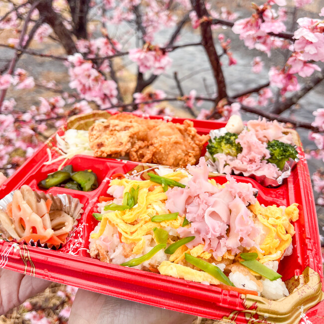 3月29日開催の『かわねさくらマルシェ』で桜色の『ホホホタケ』入り『お花見弁当』販売
