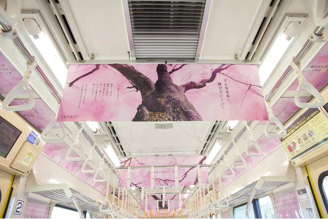 ～小田急線の車内がまるで桜並木に！？～ 桜美林大学が小田急線を全面ジャックした特別車両が登場！4月から新しい一歩を踏み出す学生に向けて15種のメッセージを展開