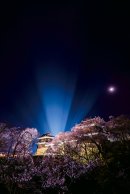 上田城と夜桜 上田城と夜桜