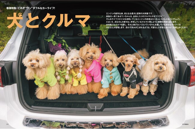 本日発売の「ENGINE」5月号では、雑誌の創刊以来、初めてとなる「犬とクルマ」を大特集。思わず笑みがこぼれるような、可愛らしい写真が満載です！