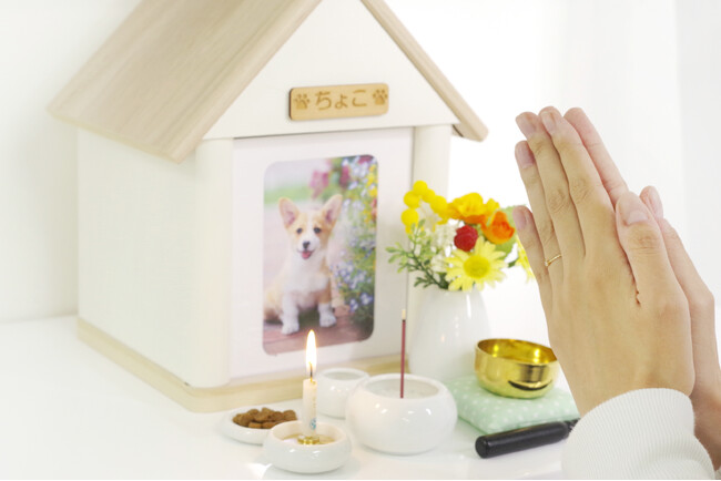 【ペットメモリアル総合サービス・ディアペット】日本最大級のペットイベント「インターペット2025」出展！後悔しないペット葬紹介サイト『うちの子セレモナビ』初公開