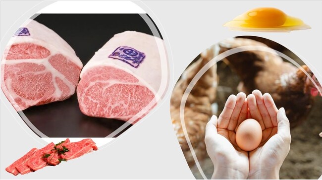 ＼九州の魅力をたっぷりお届けする「九州深発見」、今回のテーマは「肉」と「卵」！／馴染みある商品から産地にこだわった商品までデパ地下に勢ぞろい！