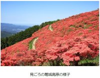 葛城高原のつつじ開花期間に合わせて臨時列車を運行します!