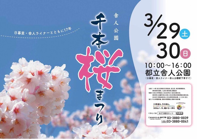 【東京都足立区】満開までもうすぐ!1,000本の桜の下で春を楽しむ「舎人公園千本桜まつり」を開催します!