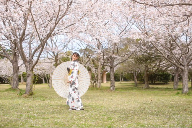 サクラ開花【国営海の中道海浜公園】