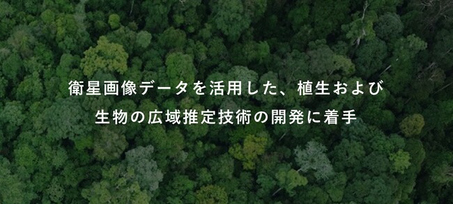 衛星画像データを活用した、植生および生物の広域推定技術の開発に着手