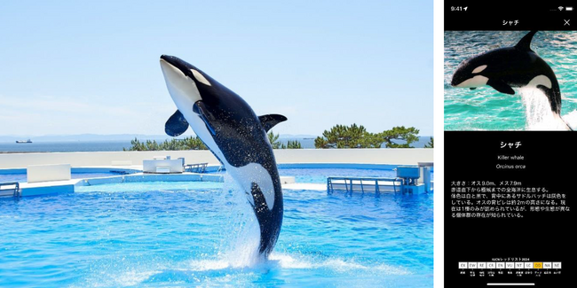 【神戸須磨シーワールド】水族館公式アプリに新機能が登場　スマシーの生きものをどこでも学べる！「生きもの図鑑」機能が追加