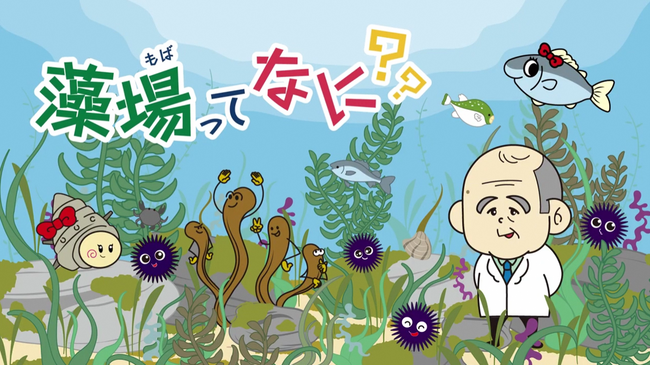 ムラサキウニ蓄養試験結果取りまとめ及び 小学生向け学習動画「藻場ってなに？」を作成しました！