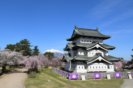 桜と弘前城天守と岩木山 桜と弘前城天守と岩木山