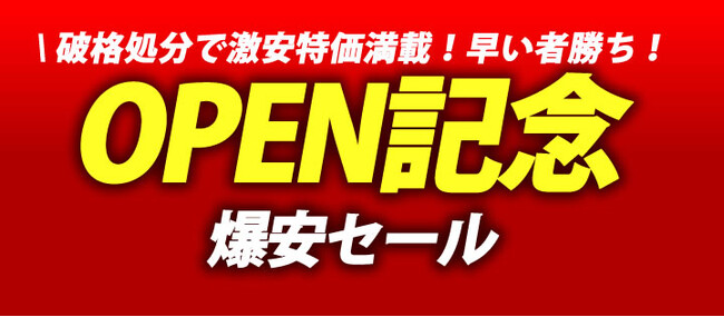 磁気研究所の直営WEBショッピングサイト「FLASH STORE」がau PAYマーケットに新規進出！