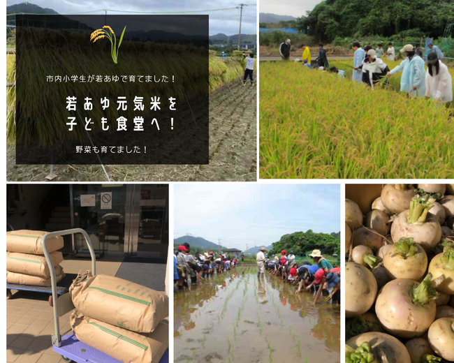 【相模原市】子どもの収穫米を子ども食堂へ！本市ならではの「フードドライブ」が実現しました