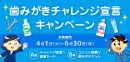 日本歯磨工業会　歯みがきチャレンジ宣言キャンペーン(サイズ違い)