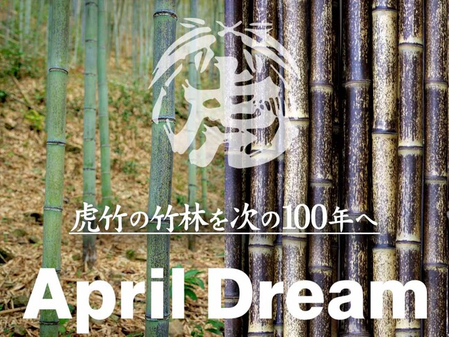 百年企業を次の100年へ、地域の宝「虎竹」の竹林を守り繋ぐ