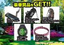 1等商品画像一例 1等商品画像一例