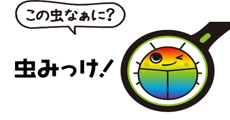 ダスキン ターミニックス公式虫判定アプリ「虫みっけ!」4 月1 日(⽕)リリース開始