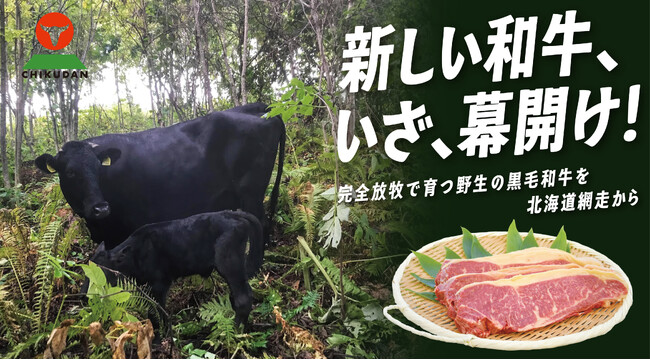 新しい和牛、いざ幕開け!「超希少。北海道網走で育つ、野生の黒毛和牛」クラウドファンディングスタート