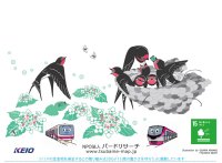 今年も駅のツバメの巣の下にフン受け板を設置します！～けい太くんとしんごくんがツバメの成長を見守ります～