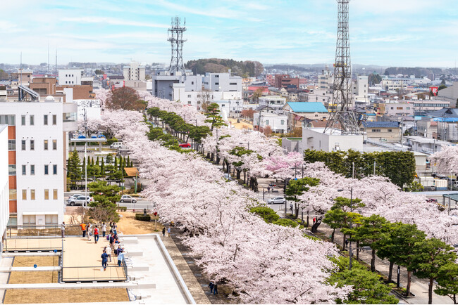 「令和７年度 稲生川上水167周年記念 十和田市春まつり」、4月19日から5月5日まで開催！