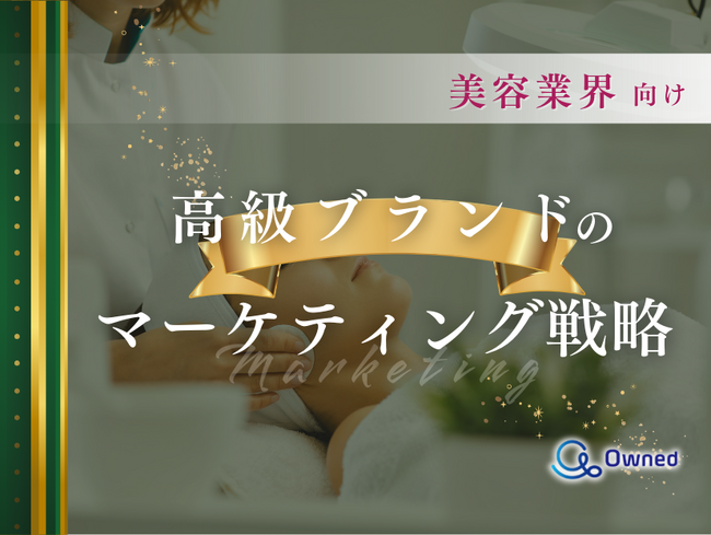 美容業界向け｜高級ブランドのマーケティング戦略分析レポート