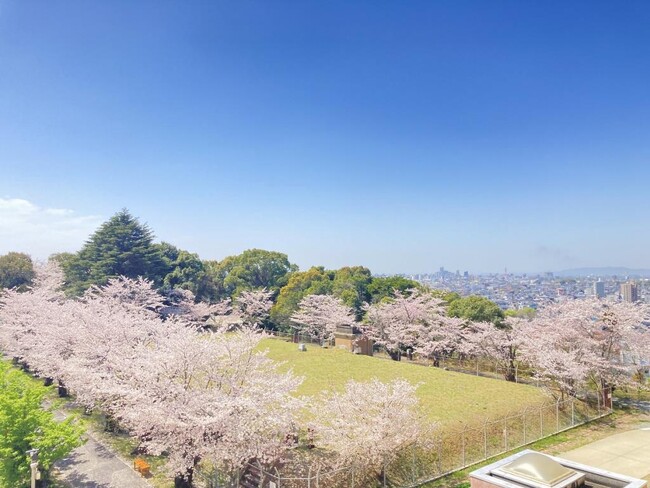 桜咲く季節、今年も開催します!水フェス―Spring―桜舞う浄水場へようこそ!