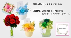 薫りあるサステナブルな日常へ「Aroma SustainA」からギフトに使える〈Aroma×Tree〉PR(プリザーブドフラワーアレンジメント)シリーズ新登場。