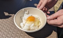 これを入れるとたまごかけご飯が最高においしくなる！おすすめの「ちょい足し」レシピを教えてください！あなたの推しTKG+1(ティーケージープラスワン)を大募集！