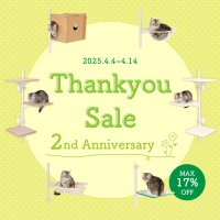 窓枠取り付け型キャットタワー「ねこゴロン」を販売するユニークライフ公式ショップは2周年！感謝セールを4月4日から開催！