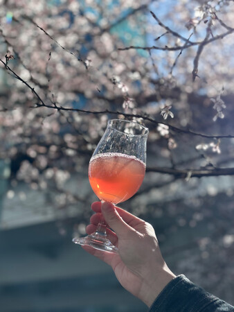 【よなよなビアワークス】ワークスエール第40弾　門出を祝う乾杯ビール「お花見エール　ーSAKURA仕立てー」