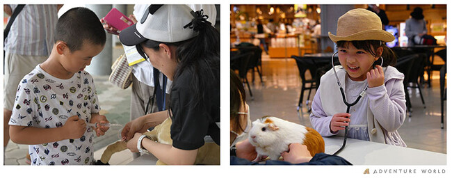 「第１４回白浜商工祭」動物のお医者さん 聴診・採血の模擬体験ブースを出展します
