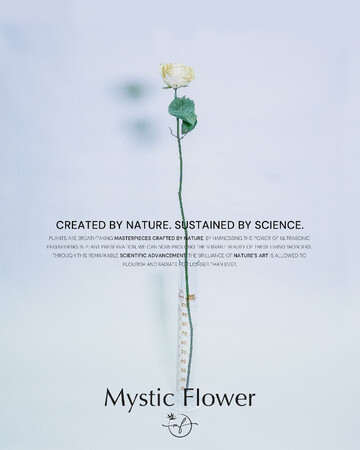 世界初。超音波技術を駆使した革新的な花の保存技術が登場 。[ Mystic Flower (ミスティックフラワー)]自然とテクノロジーの融合が織りなす新たなアート。