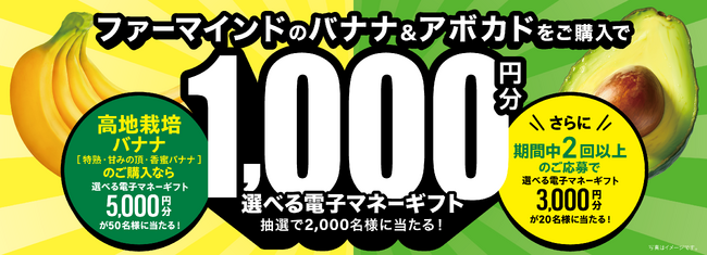 ファーマインドのバナナまたはアボカドを買って当たる！《バナナ＆アボカド キャンペーン》を2025年4月1日より開催