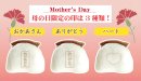 母の日限定プリント印  イメージ