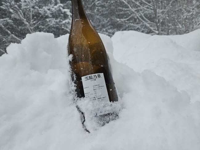 休暇村乗鞍高原の敷地内で熟成させたオリジナルの雪中埋蔵酒、いよいよ４月11日に掘り出し　～2025年大雪の信州で熟成させた雪中埋蔵酒「雪原の華」～
