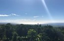 ハワイ風景