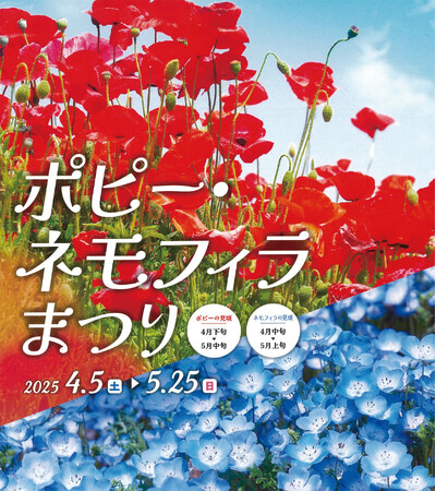 【入園無料】標高約70mの「天空の花畑」でネモフィラが見頃！5月は約100万本のポピーも見頃に（横須賀市くりはま花の国）