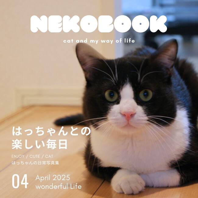 うちの猫の写真集が出版できる！うちのこ写真集シリーズ1冊目『ハチワレ猫 はっちゃん写真集』発売のお知らせ