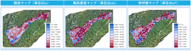 鹿島・太良広域連携SDGs推進協議会における「多良岳広葉樹資源解析業務」の取り組み結果について