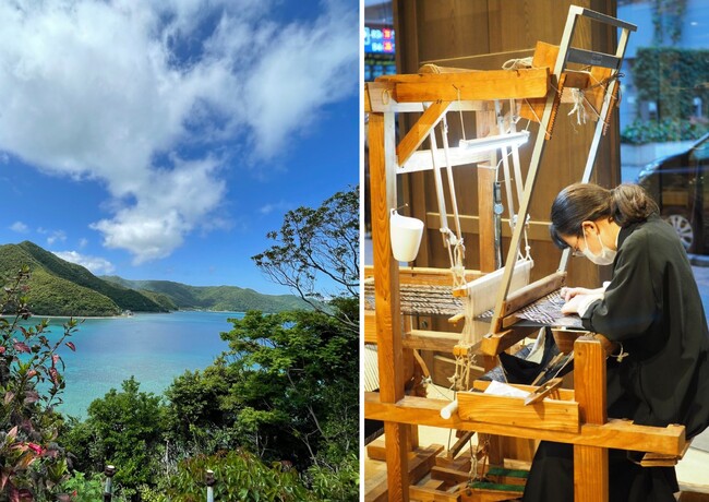 「銀座生まれの大島紬」再始動-世界に一つの着物を育て、迎える新しい体験へ