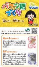 イメージ画像2 イメージ画像2