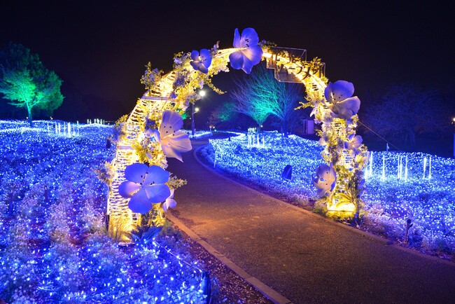 4月11日（金）から足立区・舎人公園のイルミネーション「『花と光のムーブメント』舎人公園 ネモフィラの海に映るトネリの星たち」がスタート！