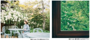 ROKKO森の音ミュージアムSIKIガーデンEarly Summer Seasonツツジ、オオデマリなどに彩られた初夏のガーデン2025年5月7日（水）～6月20日（金）