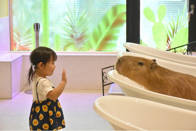 動物が持つ癒しの力 ～屋内型ふれあい動物園 アニタッチの新たな取り組み～