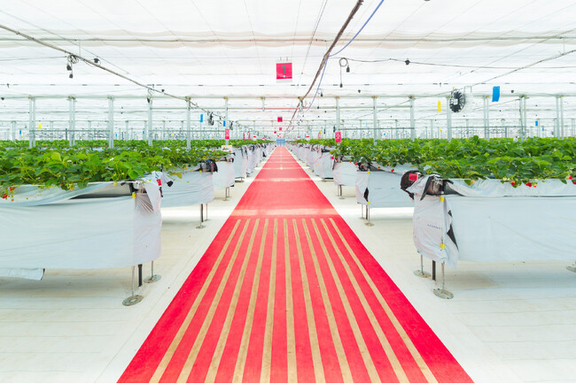 JALグループとパワーエックス、環境事業で業務提携