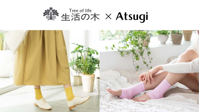 アツギ 生活の木と初コラボ!「セサミオイル加工」をプラスしたレッグウェアを新発売